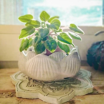 3D Lotus Gips Flower Pot Mugg Rundt Stearinlys Jar Silikon Mold Håndlagde Smykker oppbevaringsboks å Lage Betong Stearinlys Jar Planter